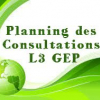 l3_gep_planning_consultation