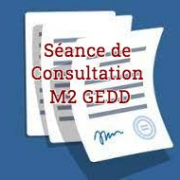 Séance de Consultation M2 GEDD consultation