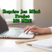 REMISE LES MINI PROJET