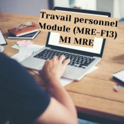 Travail personnel (MRE-F13) M1 MRE m1mre1